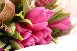 Fancy Pink Flowers8416817874 300x200 - Fancy Pink Flowers - Rose, Pink, Flowers, Fancy